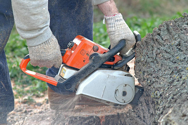 Best Aeration Services  in Grants, NM